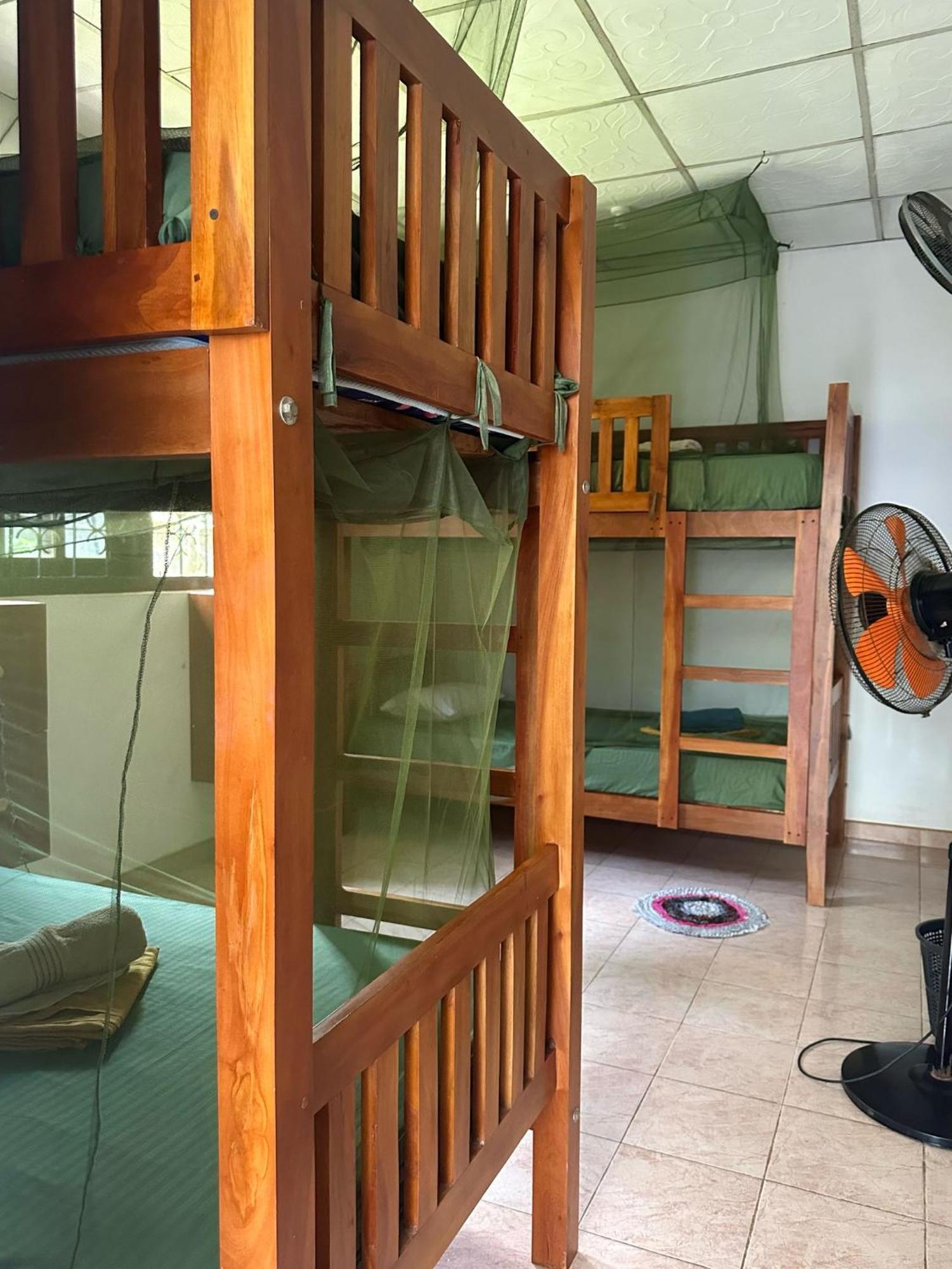 Coco Mango Hostel Dikwella Εξωτερικό φωτογραφία